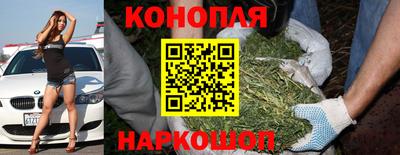 кокс Гусев