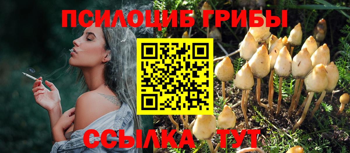 Псилоцибиновые грибы прущие грибы  Галлюциногенные грибы Psilocybe  Вход с VPN  Каменка 