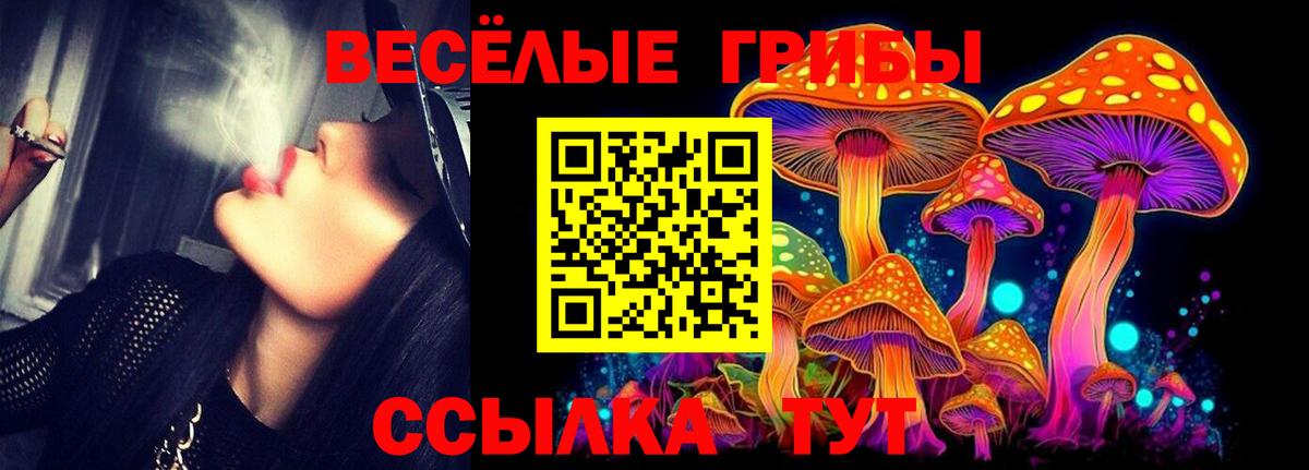 Псилоцибиновые грибы GOLDEN TEACHER Каменка